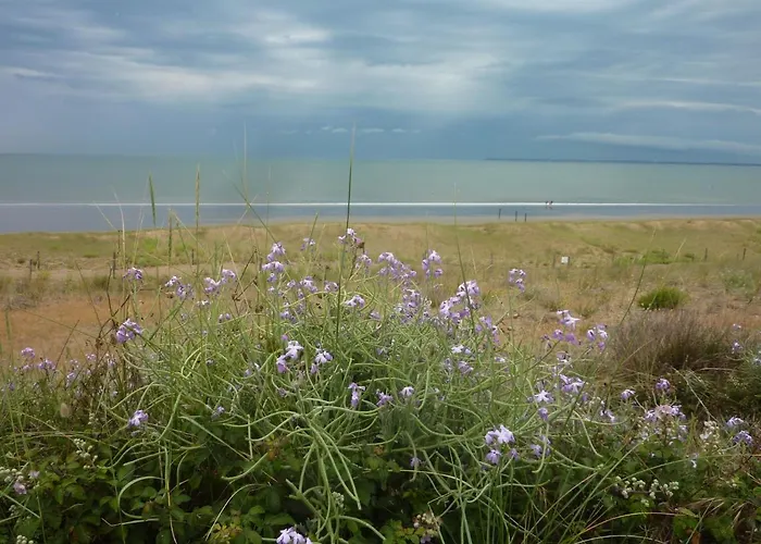 D'hotes La Dune - Face